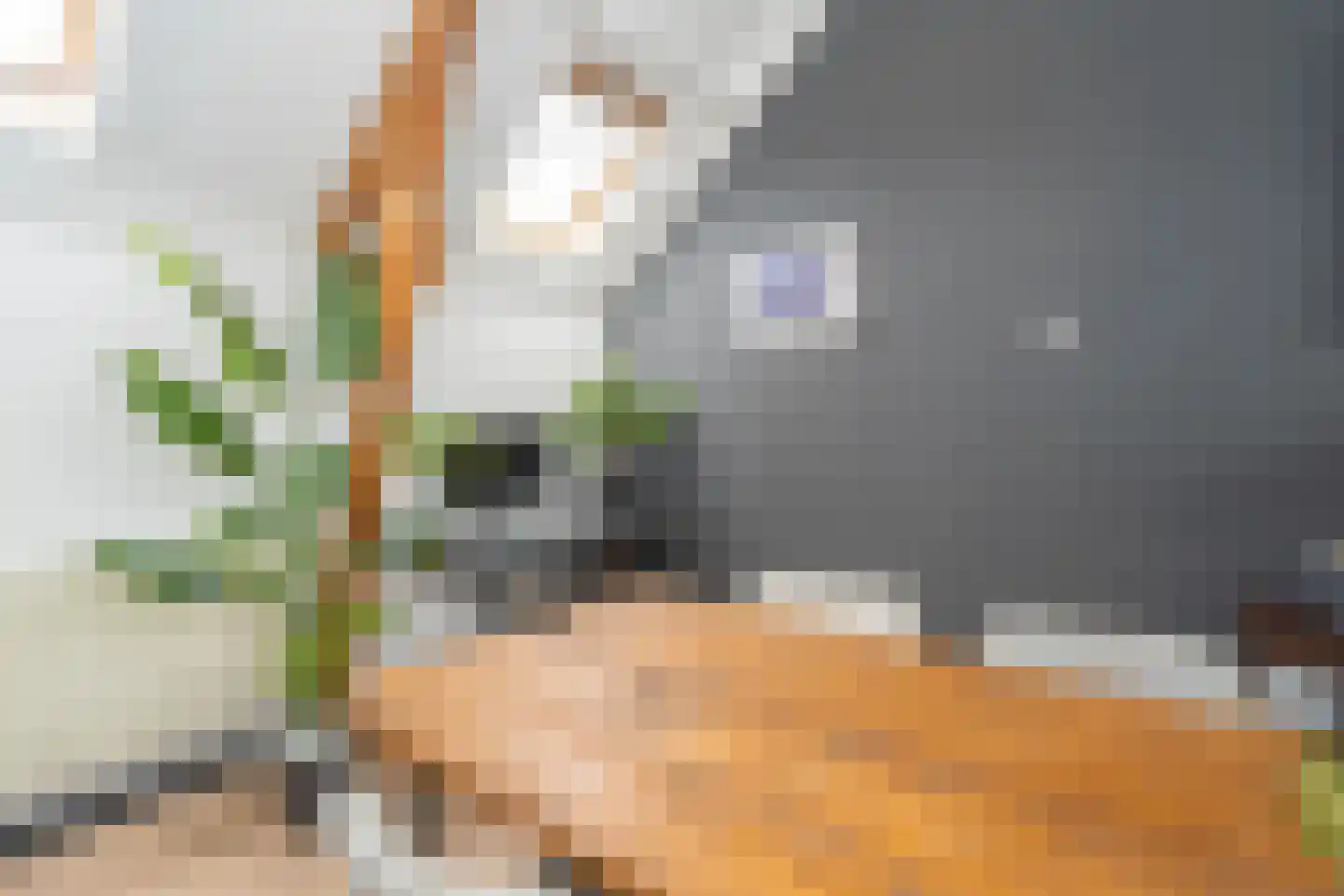 Sint Annastraat 43 a Tilburg thumbnail 19