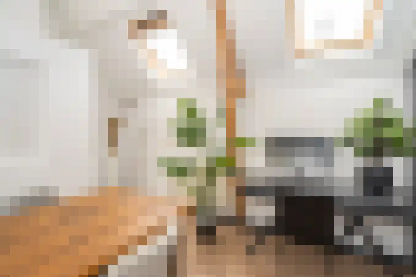 Sint Annastraat 43 a Tilburg thumbnail 21