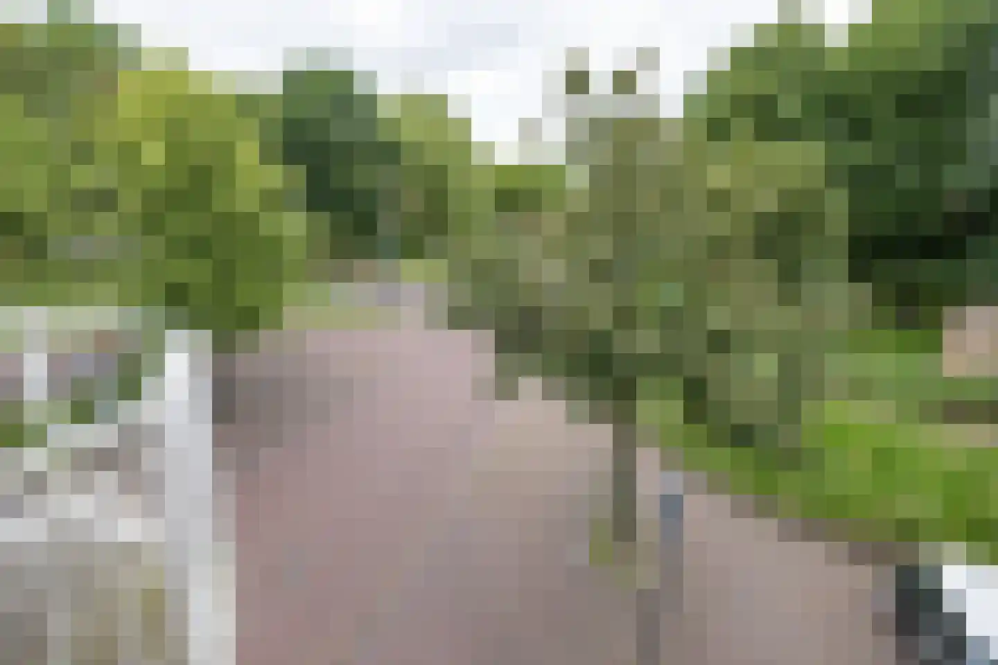 Sint Annastraat 43 Amersfoort thumbnail 21