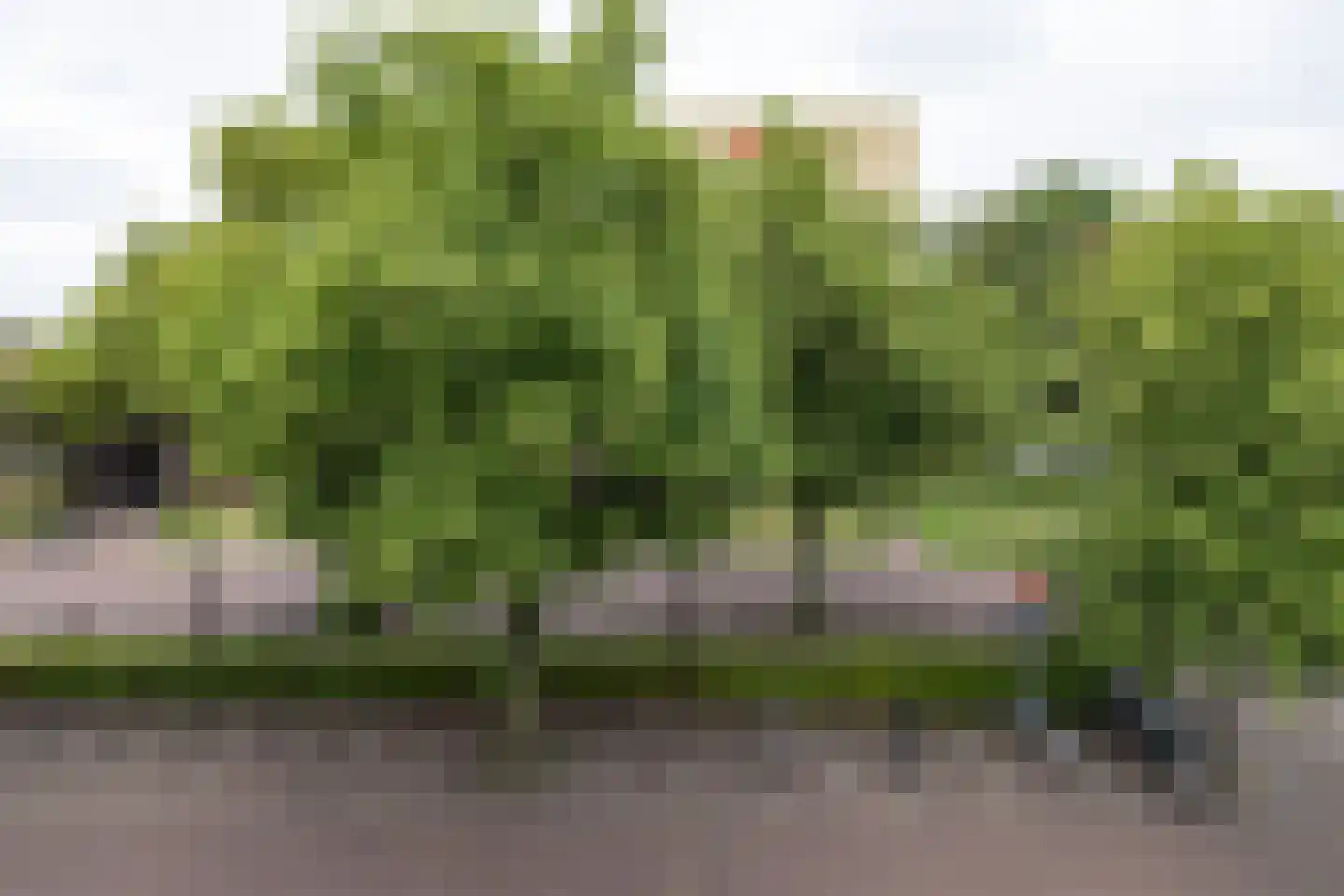 Sint Annastraat 43 Amersfoort thumbnail 23