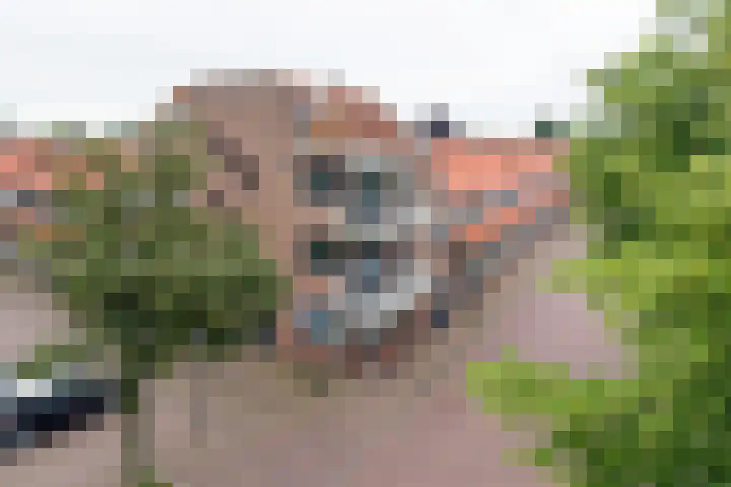 Sint Annastraat 43 Amersfoort thumbnail 32