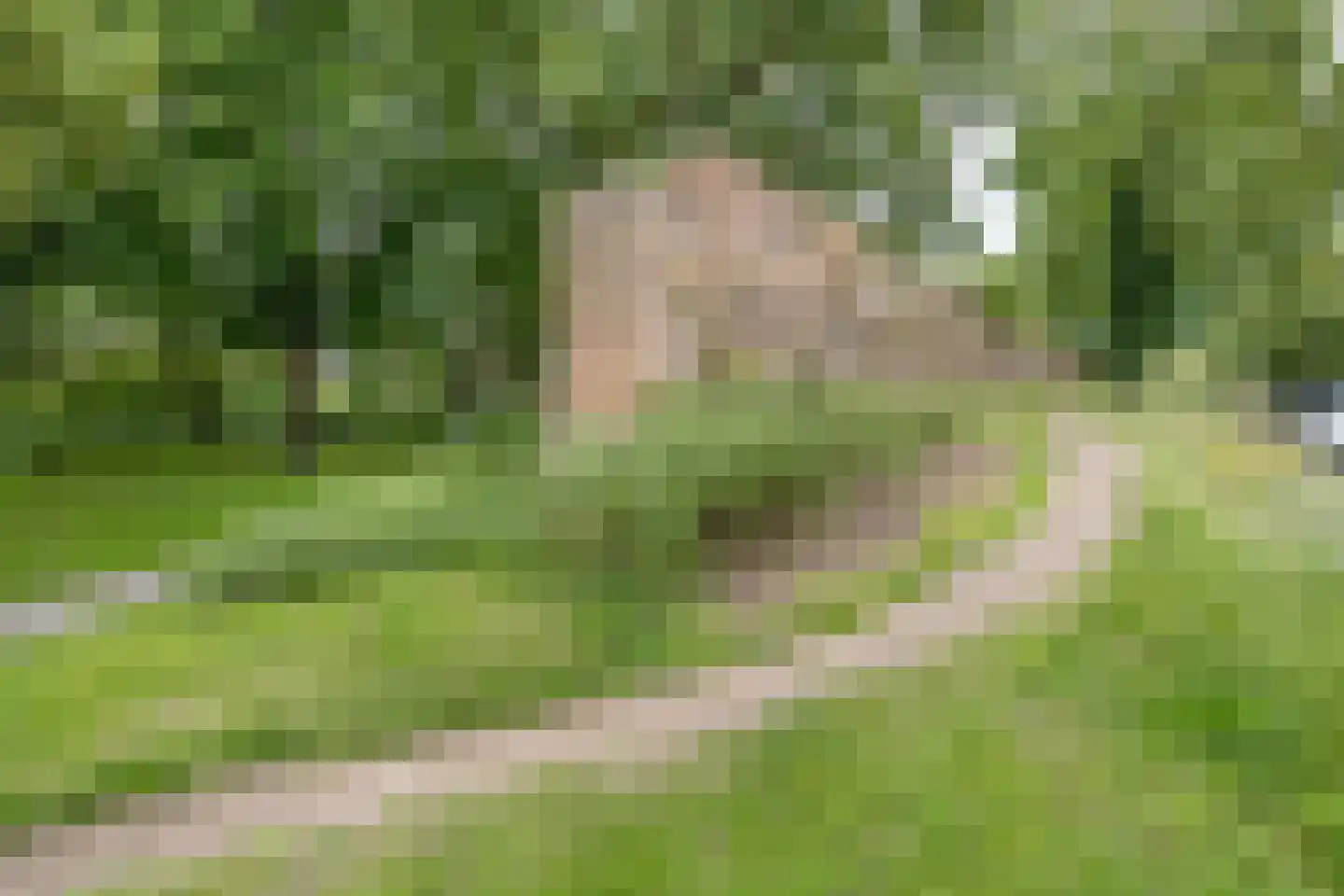 Sint Annastraat 43 Amersfoort thumbnail 37