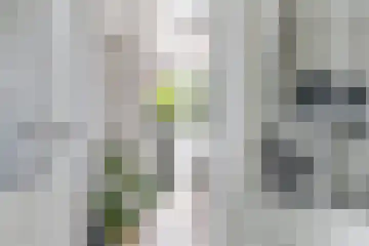 Sint Annastraat 5 Amersfoort thumbnail 11