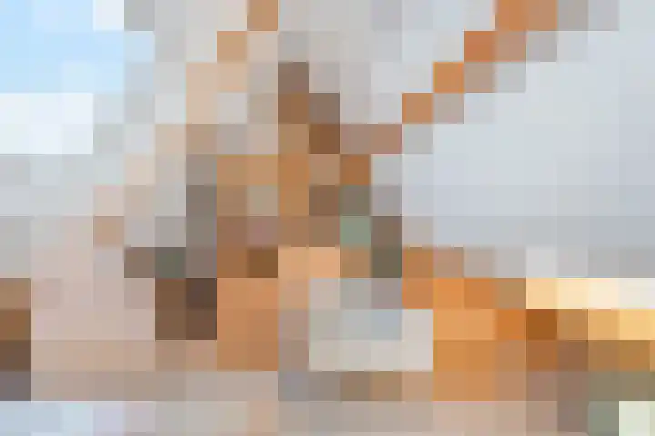 Sint Annastraat 5 Amersfoort thumbnail 28