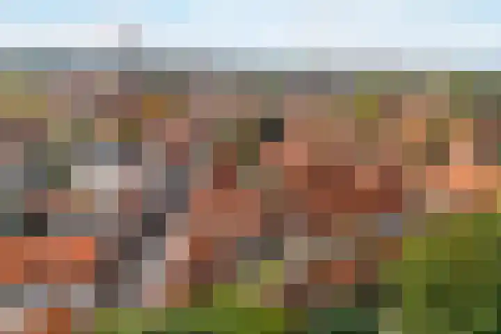 Sint Annastraat 5 Amersfoort thumbnail 39