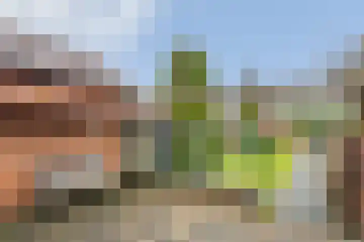 Sint Annastraat 56 Tegelen thumbnail 31
