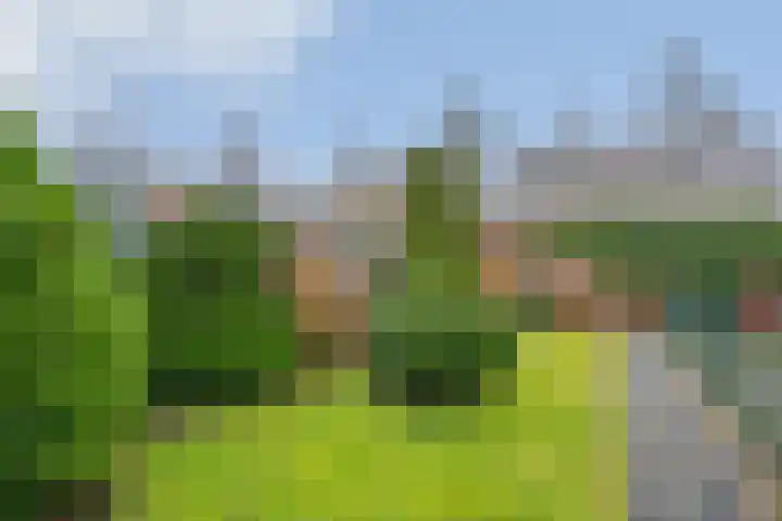 Sint Annastraat 56 Tegelen thumbnail 32