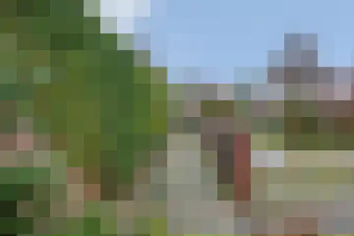 Sint Annastraat 56 Tegelen thumbnail 33