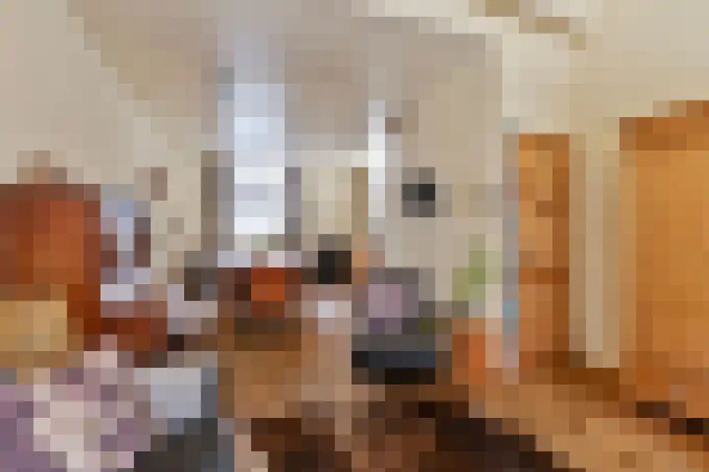 Sint Annastraat 7 Alkmaar thumbnail 12