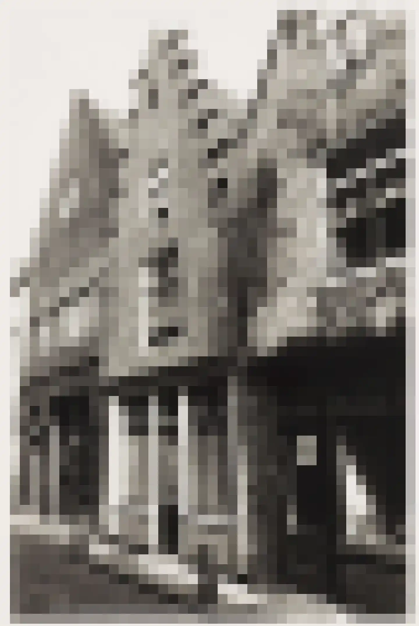 Sint Annastraat 7 Alkmaar thumbnail 31