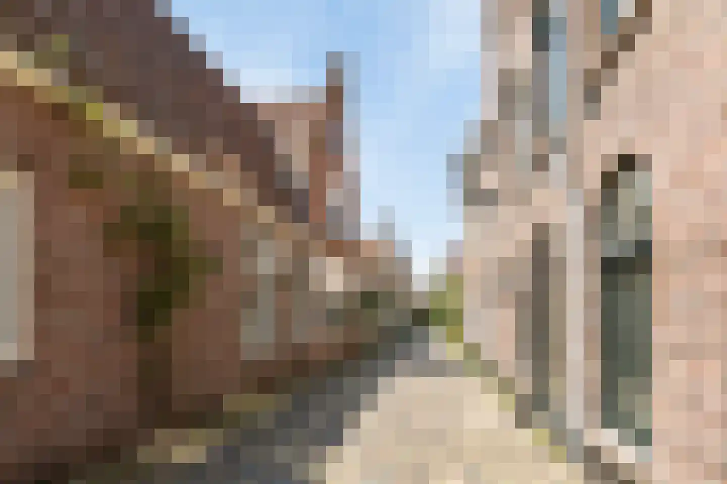 Sint Annastraat 7 Alkmaar thumbnail 34