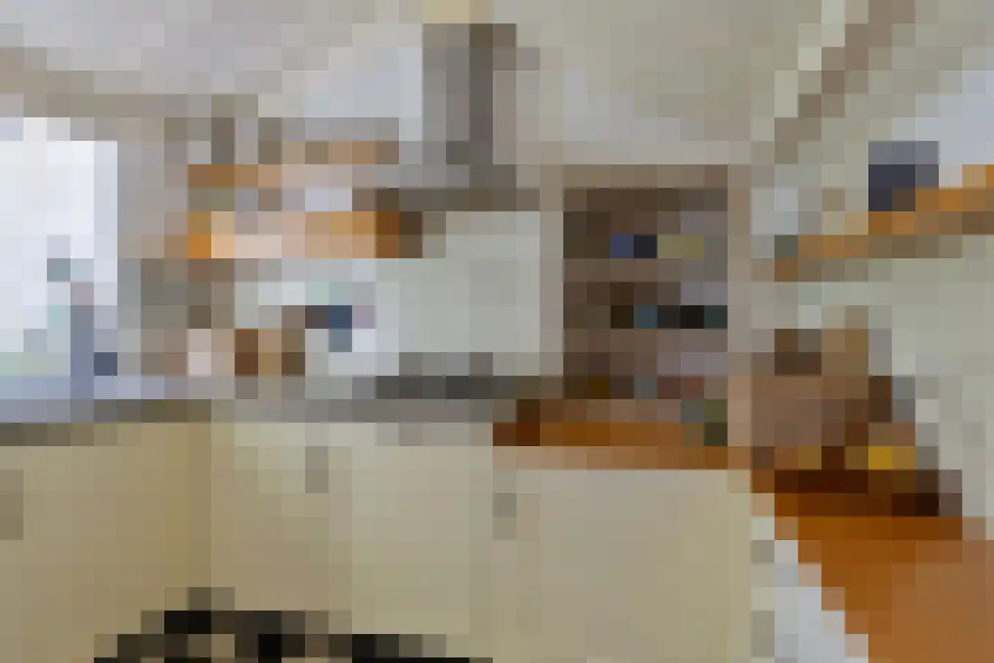 Sint Annastraat 7 Alkmaar thumbnail 4