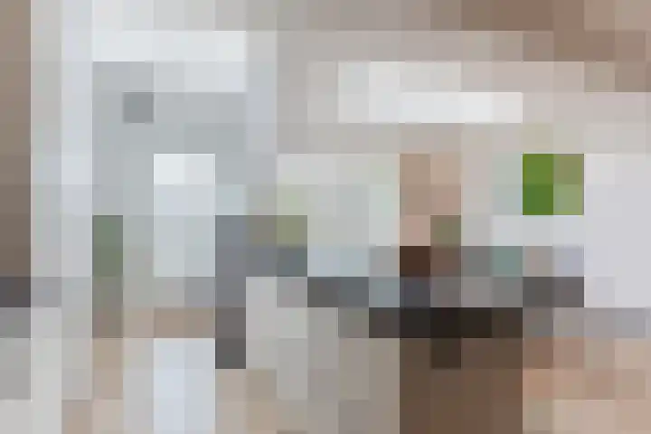 Sint Annastraat 7 Molenschot thumbnail 18