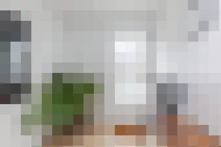 Sint Annastraat 7 Molenschot thumbnail 19