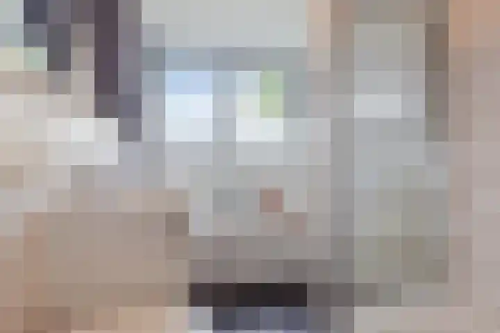 Sint Annastraat 7 Molenschot thumbnail 31