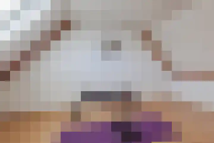 Sint Annastraat 7 Molenschot thumbnail 38