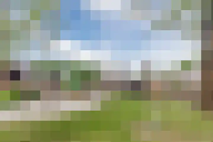 Sint Annastraat 7 Molenschot thumbnail 43