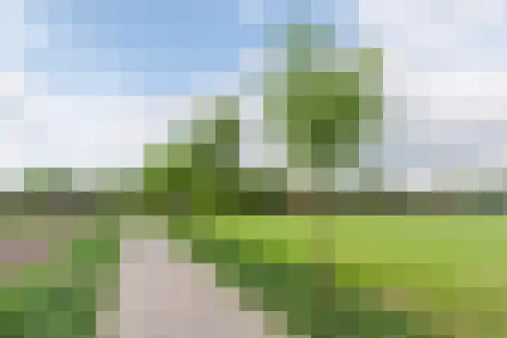 Sint Annastraat 7 Molenschot thumbnail 45