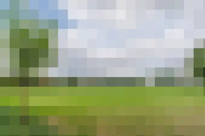 Sint Annastraat 7 Molenschot thumbnail 46