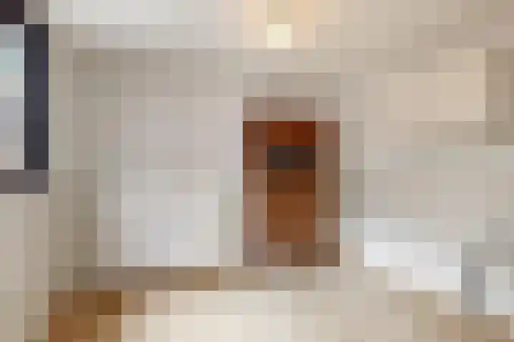 Sint Annastraat 8 Reuver thumbnail 12