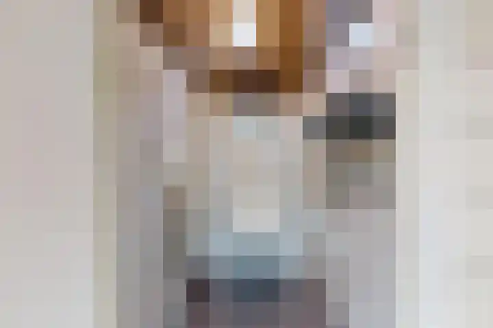 Sint Annastraat 8 Reuver thumbnail 14