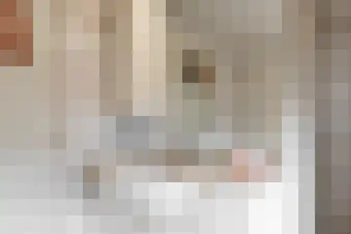 Sint Annastraat 8 Reuver thumbnail 22