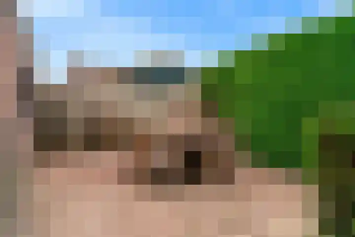 Sint Annastraat 8 Reuver thumbnail 25