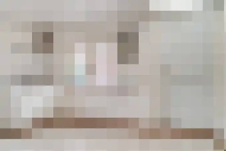 Sint Annastraat 8 Reuver thumbnail 27