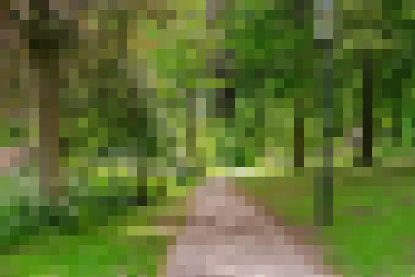 Sint Annastraat 9 Amersfoort thumbnail 32