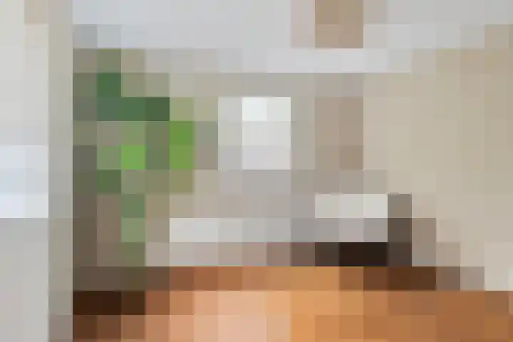 Sint Annatroonstraat 19 Kerkdriel thumbnail 16
