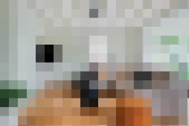 Sint Annatroonstraat 19 Kerkdriel thumbnail 5