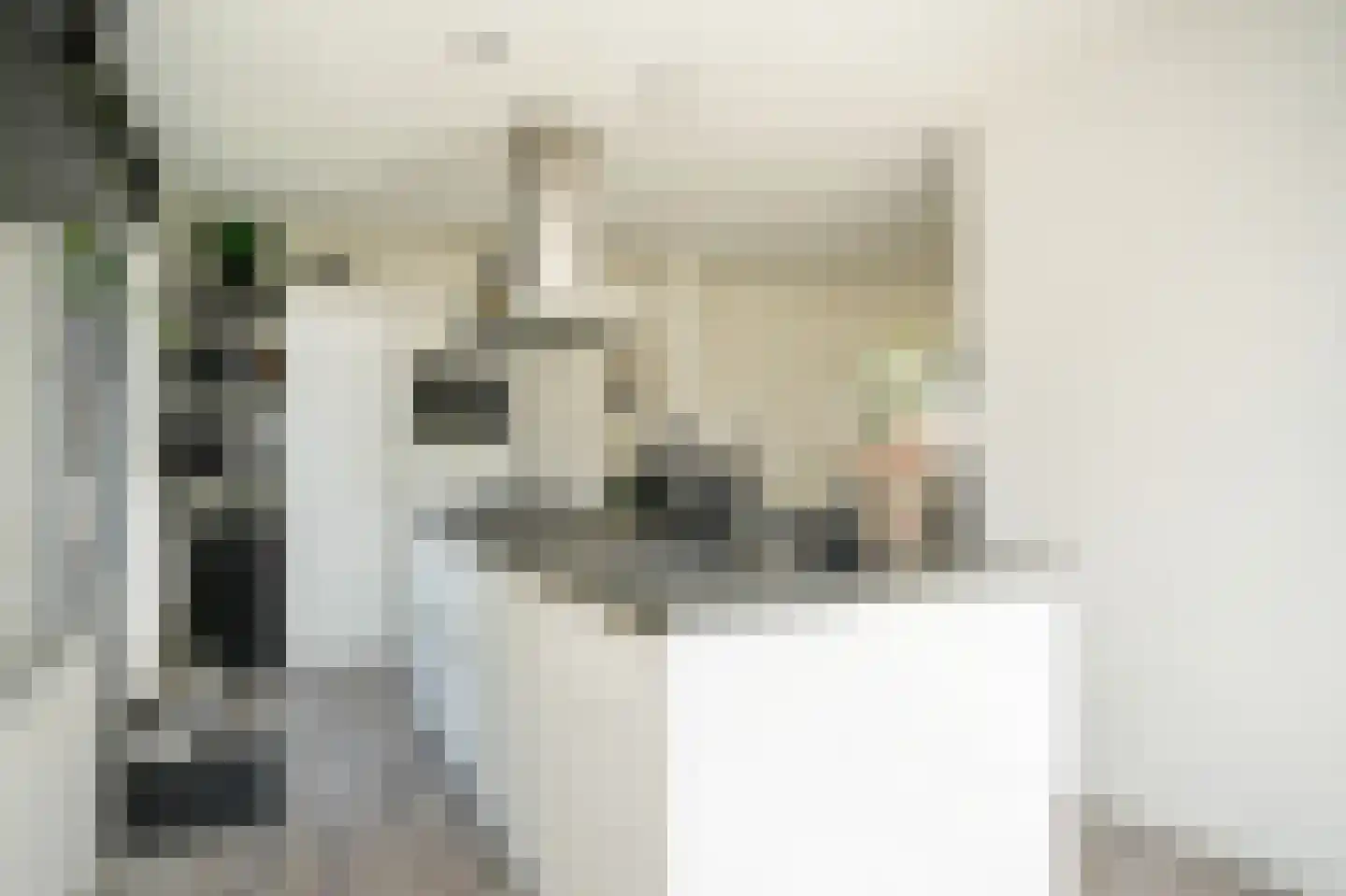 Sint Annatroonstraat 3 Kerkdriel thumbnail 10