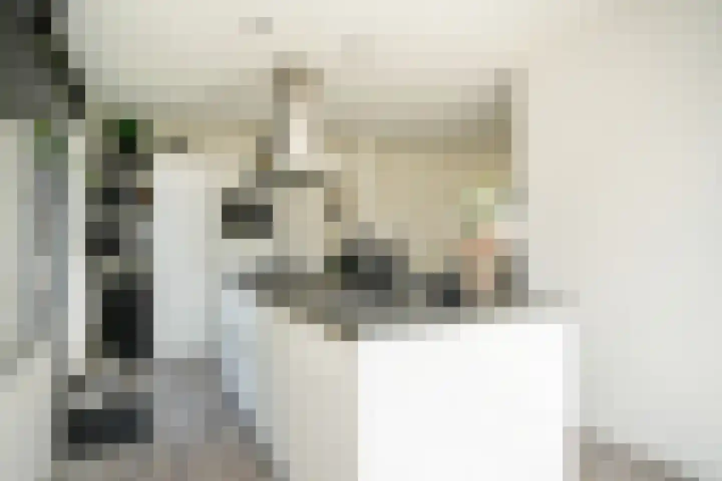 Sint Annatroonstraat 3 Kerkdriel thumbnail 10