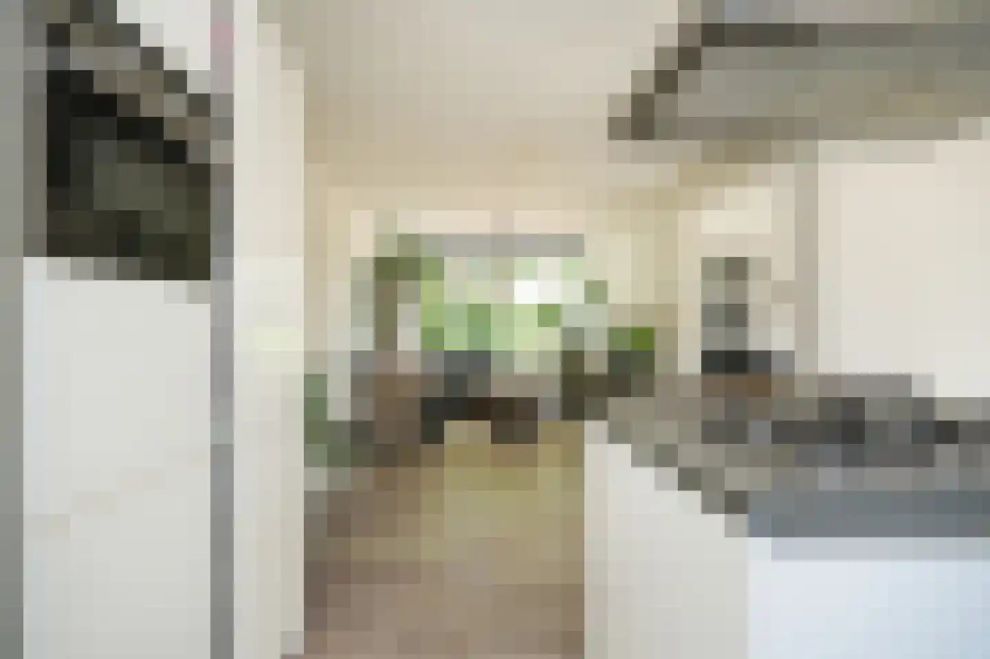 Sint Annatroonstraat 3 Kerkdriel thumbnail 13