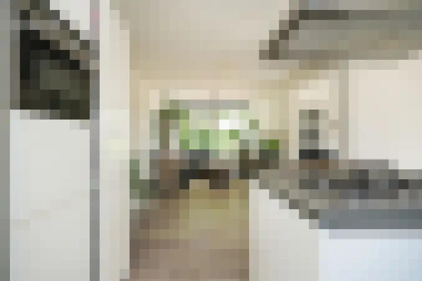 Sint Annatroonstraat 3 Kerkdriel thumbnail 13