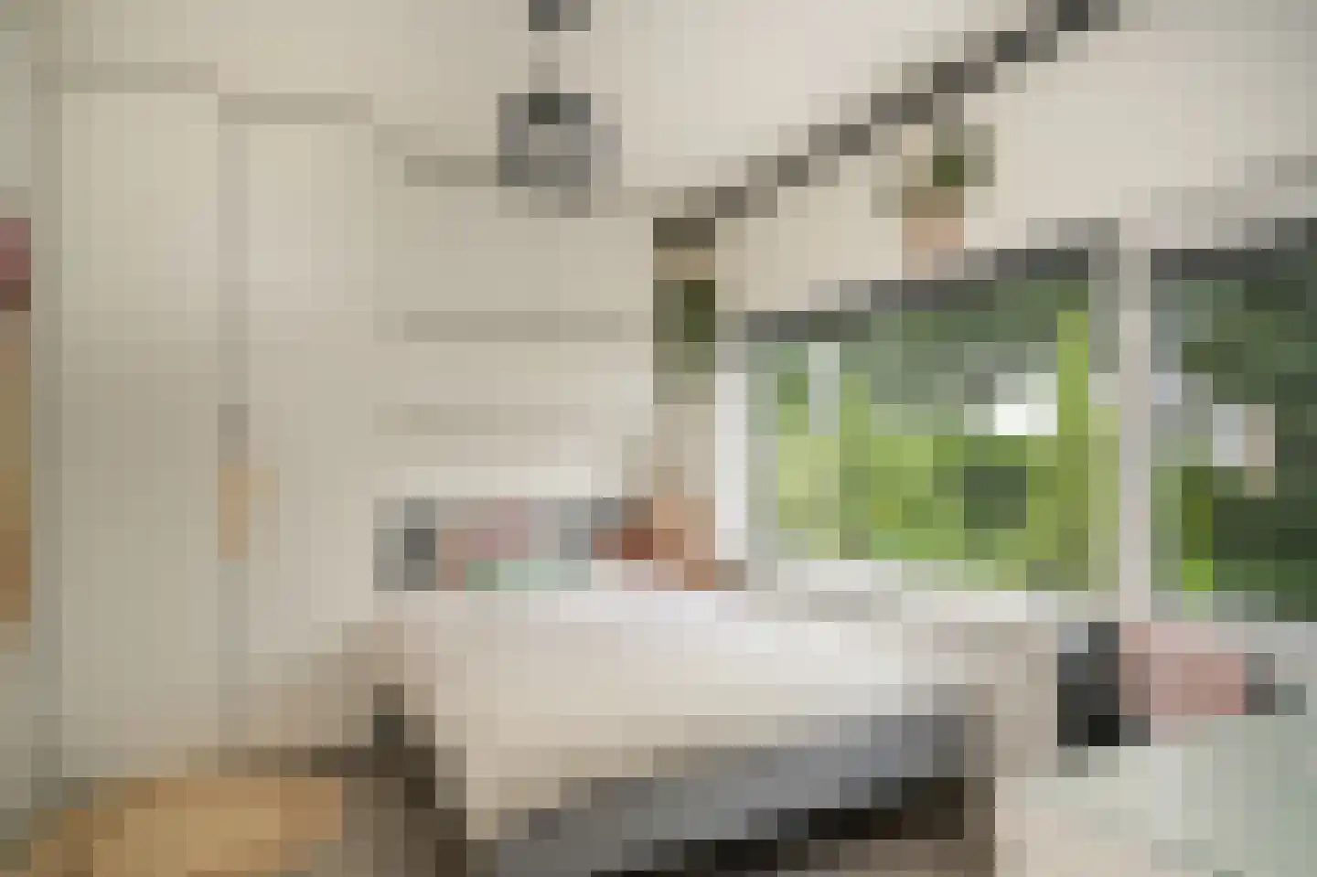 Sint Annatroonstraat 3 Kerkdriel thumbnail 22