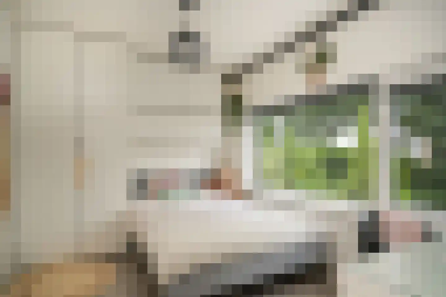 Sint Annatroonstraat 3 Kerkdriel thumbnail 22