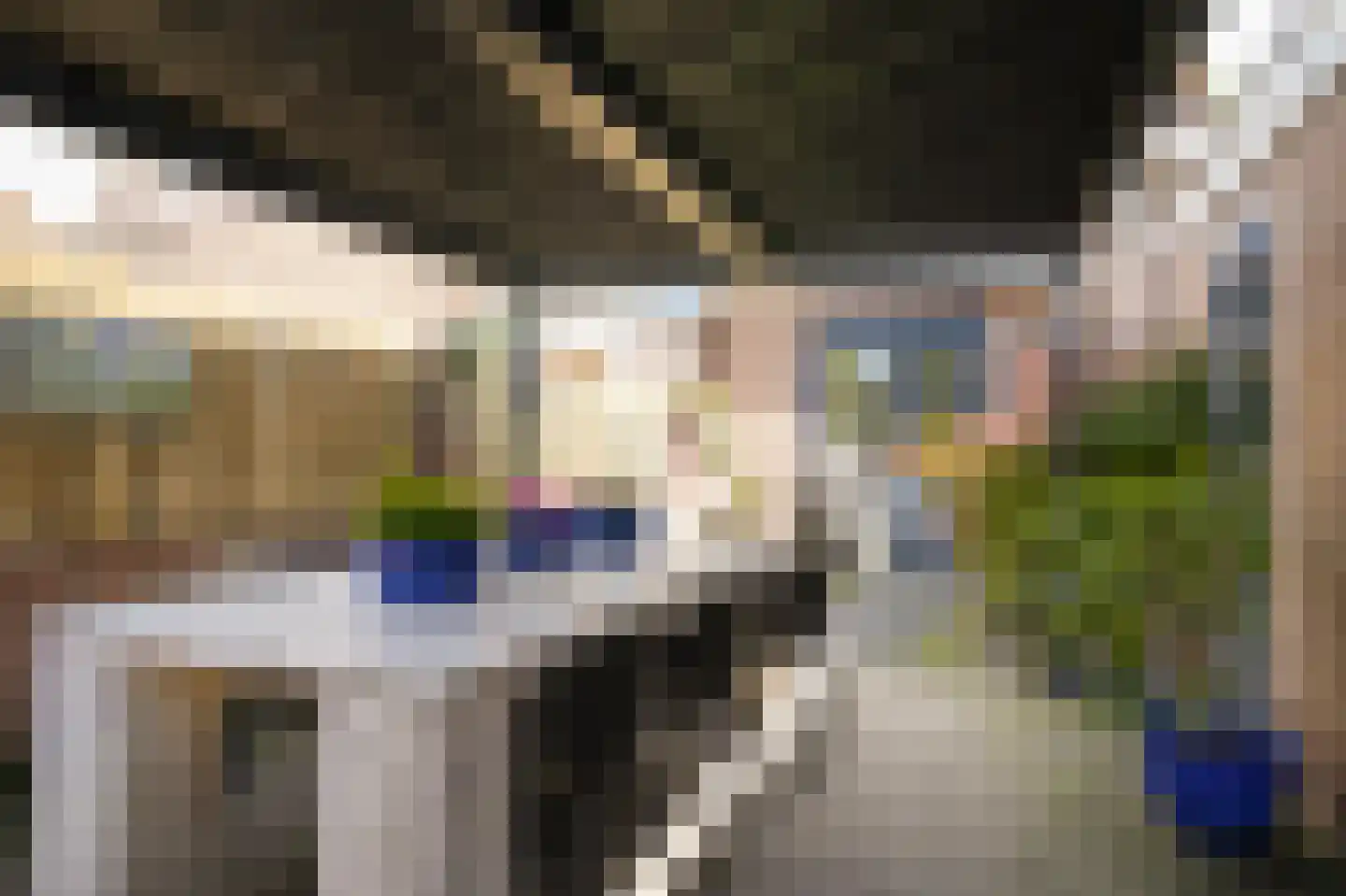 Sint Annatroonstraat 3 Kerkdriel thumbnail 26