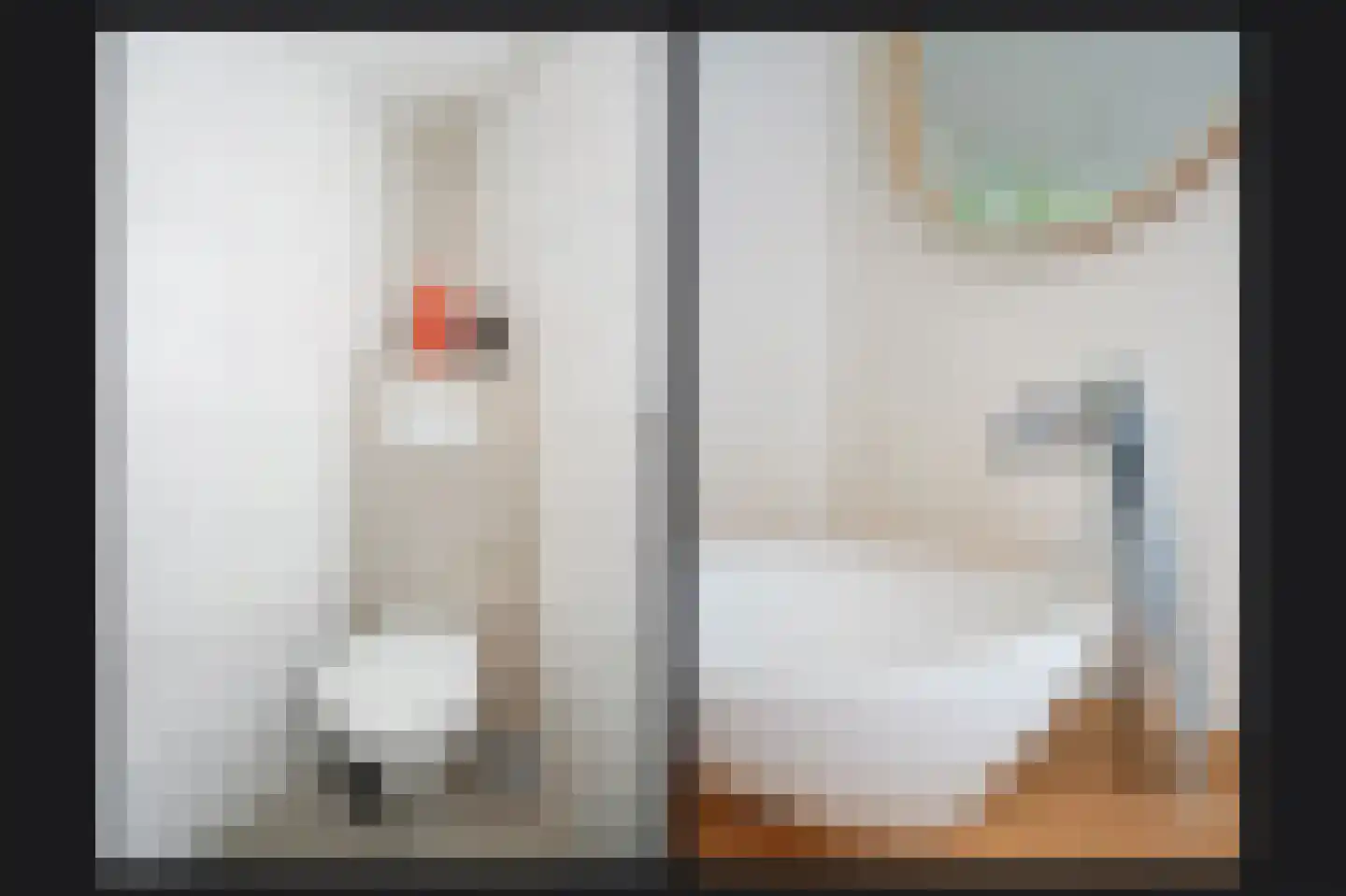 Sint Annatroonstraat 3 Kerkdriel thumbnail 30