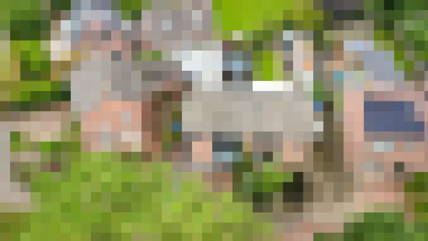 Sint Annatroonstraat 3 Kerkdriel thumbnail 37