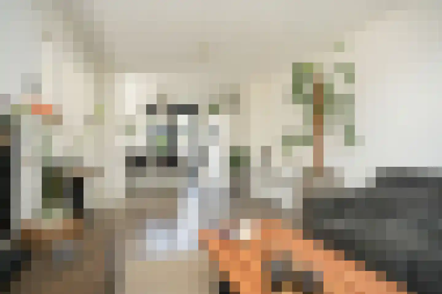Sint Annatroonstraat 3 Kerkdriel thumbnail 4