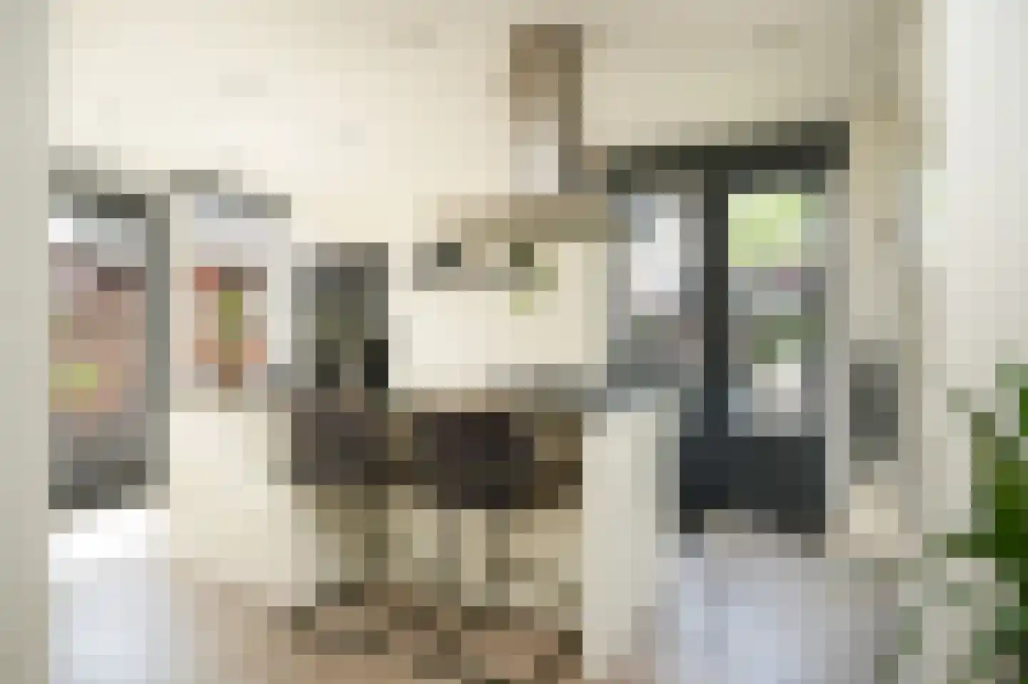 Sint Annatroonstraat 3 Kerkdriel thumbnail 8
