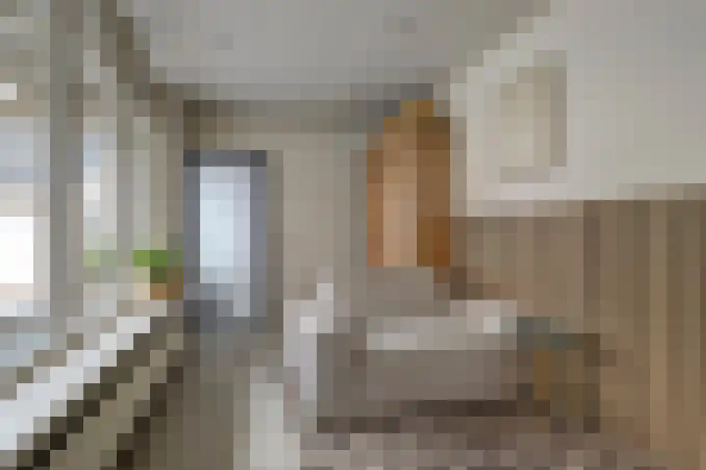 Sint Annatroonstraat 45 Kerkdriel thumbnail 15