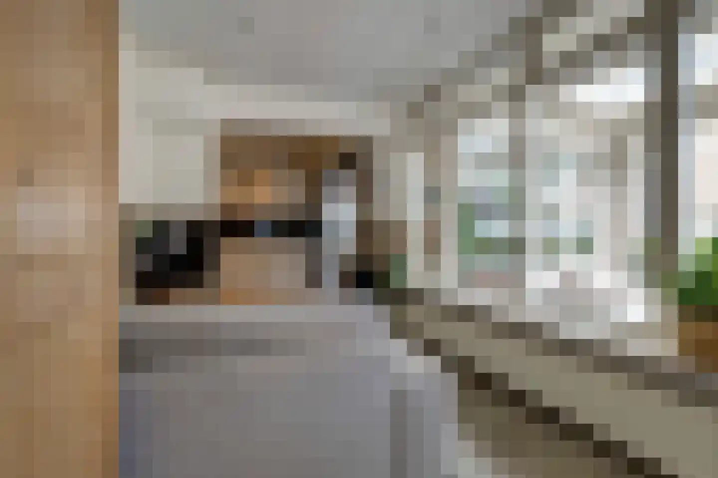 Sint Annatroonstraat 45 Kerkdriel thumbnail 16