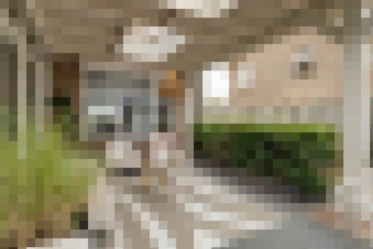 Sint Annatroonstraat 45 Kerkdriel thumbnail 37