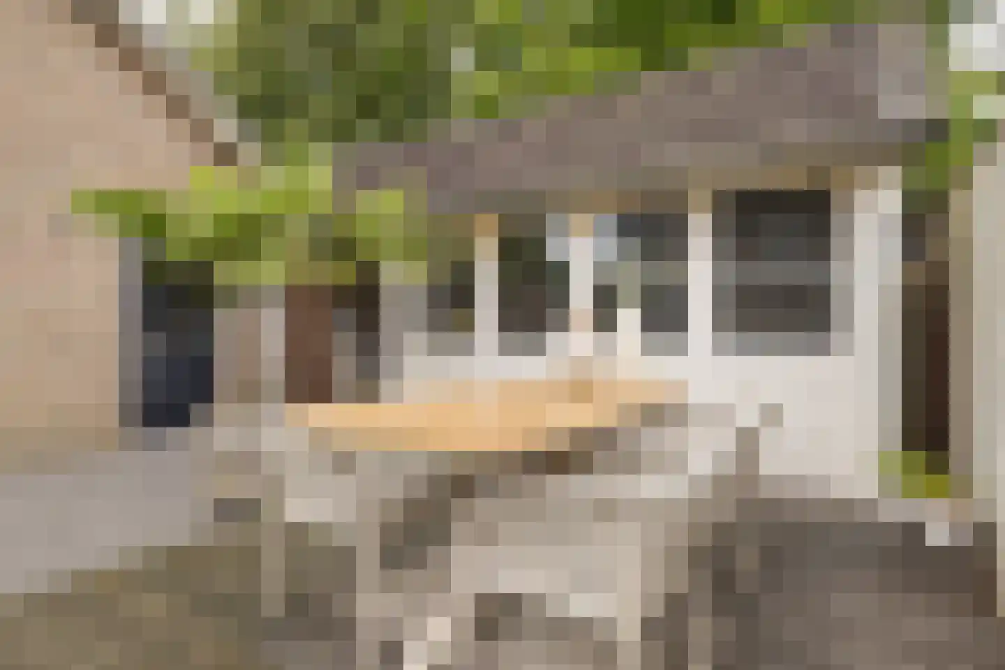 Sint Annatroonstraat 45 Kerkdriel thumbnail 42
