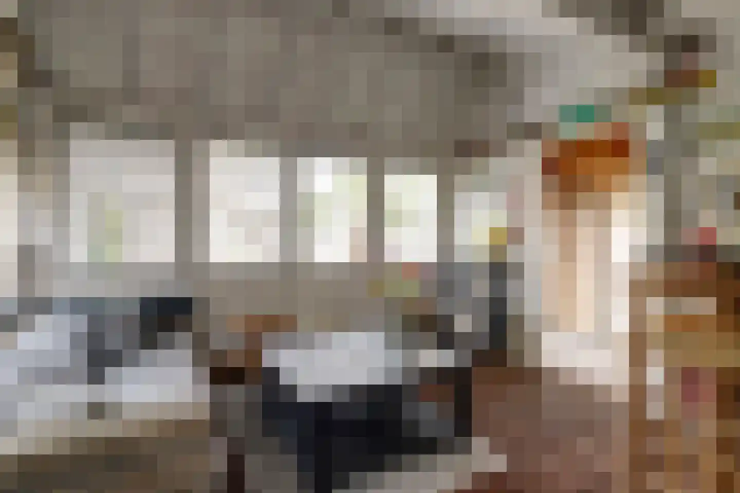 Sint Annatroonstraat 45 Kerkdriel thumbnail 45