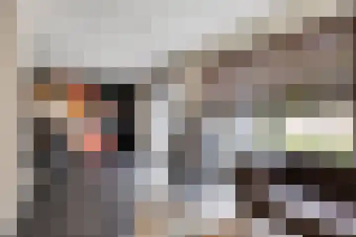 Sint-Annaziekenhuislaan 2 Oss thumbnail 10