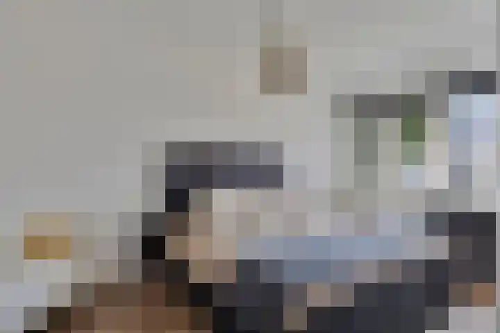 Sint-Annaziekenhuislaan 2 Oss thumbnail 14