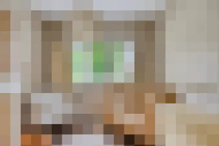 Sint-Annaziekenhuislaan 2 Oss thumbnail 15